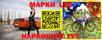 сатива Будённовск