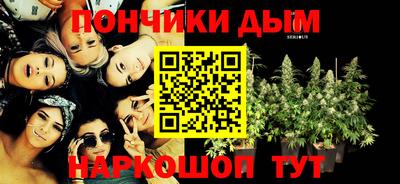 сатива Будённовск