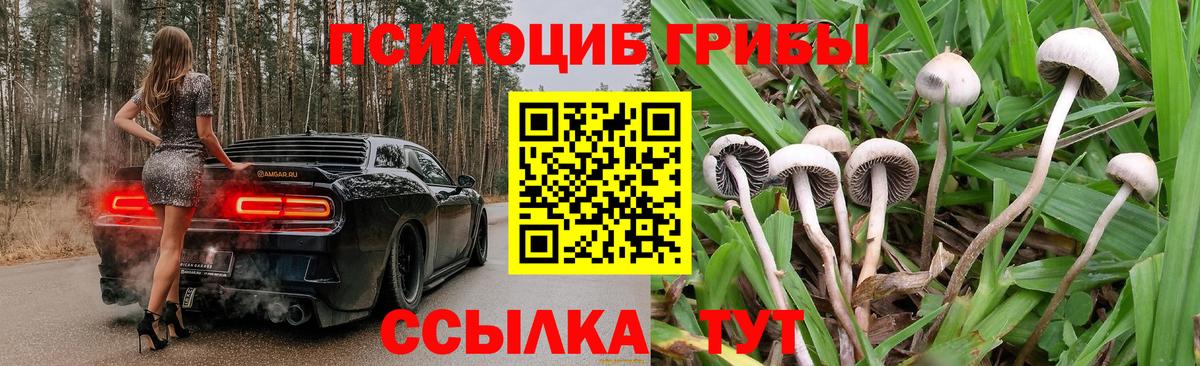 Галлюциногенные грибы MAGIC MUSHROOMS Мелеуз