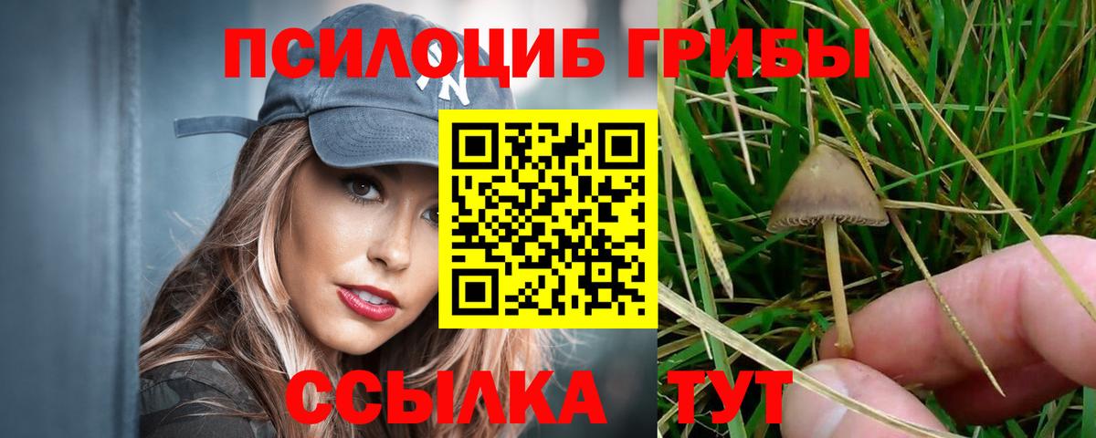 Галлюциногенные грибы Psilocybine cubensis  Вход с VPN  Мелеуз 